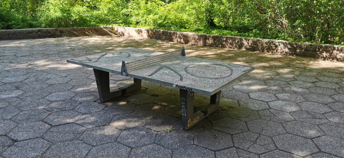 Tischtennisplatte-im-Plastikgarten